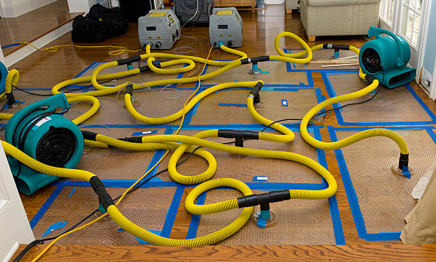 Professional Structural Drying And Dehumidification technician working in Mayer, MN